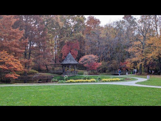 Relaxing Autumn Vlog at Gibbs Gardens, Georgia | Interracial and Age Gap Couple