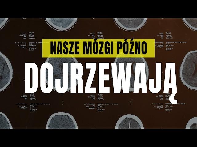 Dlaczego życie powinno zacząć  się po 40-ce?