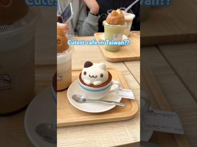 Foam Cat Cafe Taichung Taiwan #taichung #taiwantravel #taiwanfood