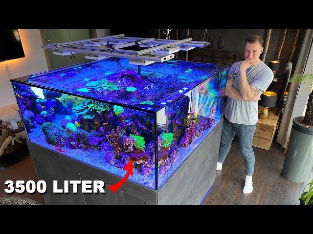 GERMAN REEF TANKS - massive saltwater aquarium 920 gallon *private tour*