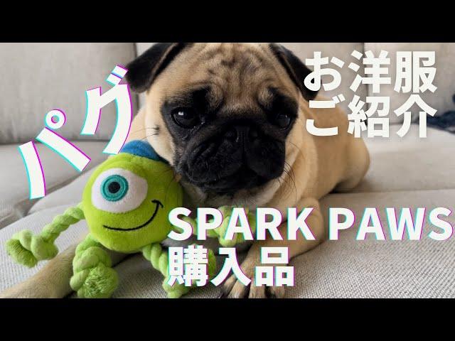 お洋服ご紹介SPARK PAWS購入品【冬支度】