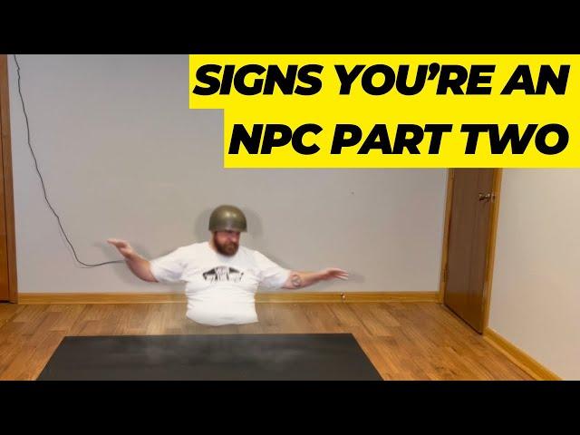 Signs You’re an NPC: Part 2