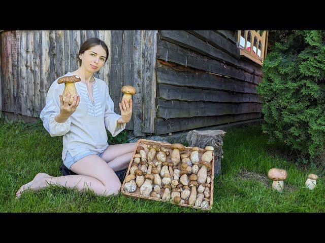 Magic surprise! Picking porcini mushrooms in the village garden! Cooking amazing lunch