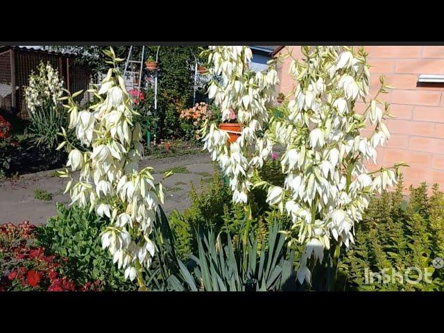 ВСЬОГО ПОТРОХУ. СПІЛКУЮСЯ З ВАМИ.