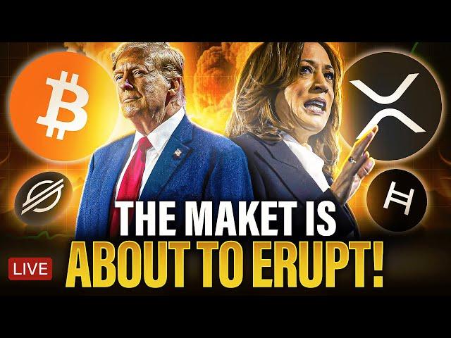 Crypto Market ERUPTION! Holders Prepare Now | XRP XLM HBAR SUI & More