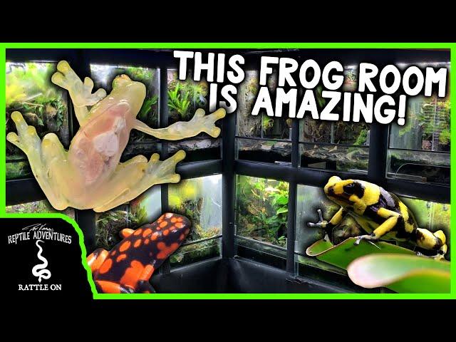 THE COOLEST DART FROG MAN CAVE EVER! (Troy Goldberg's Tropical Garage)