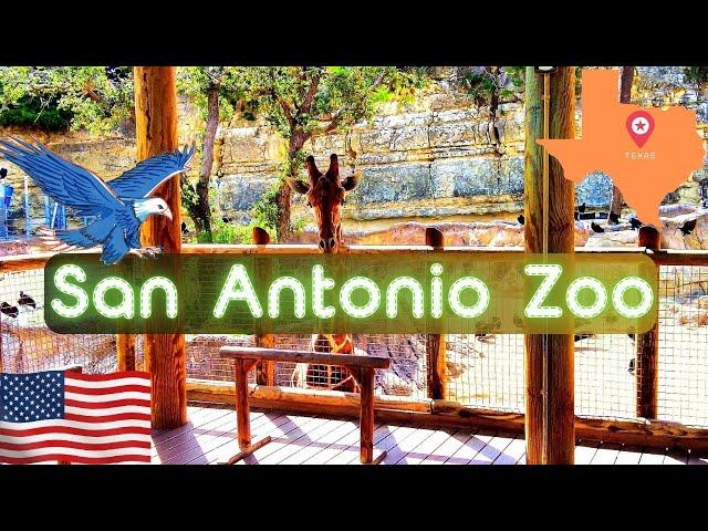 San Antonio Zoo Texas Full Tour 2024 4K 60FPS