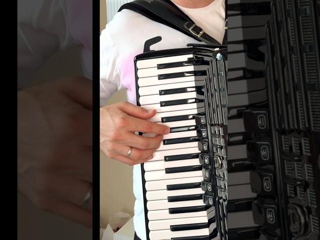 Самая вирусная песня года pedro pedro на баяне урок #accordion #аккордеон #music #shorts #video