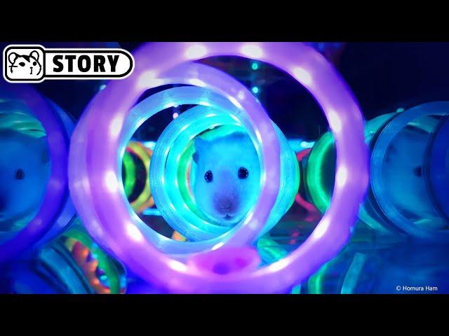 Neon Cube Hamster Maze  Aquarium and Minecraft  Homura Ham