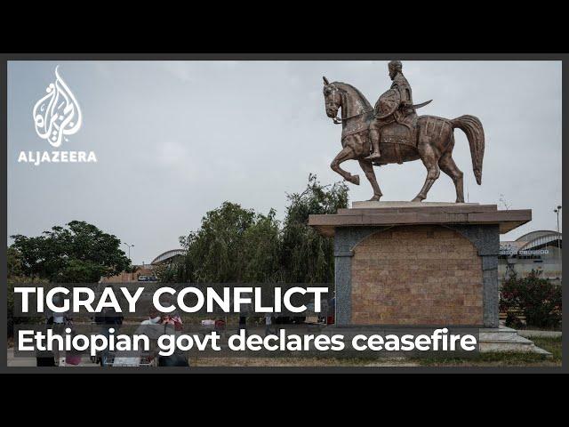 Ethiopia declares ceasefire as rebels retake Tigray capital