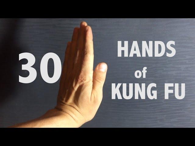 KungFu Styles Hand Techniques | 30 Fists   w Kungfunerd