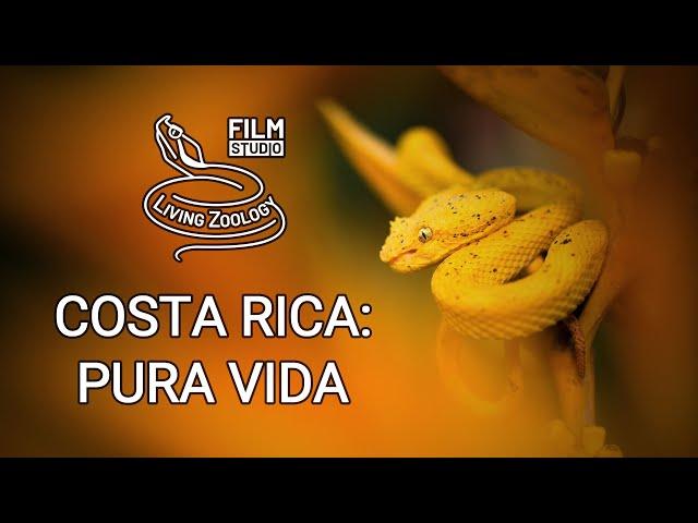 Costa Rica: Pura Vida - wildlife diversity documentary, Living Zoology film studio