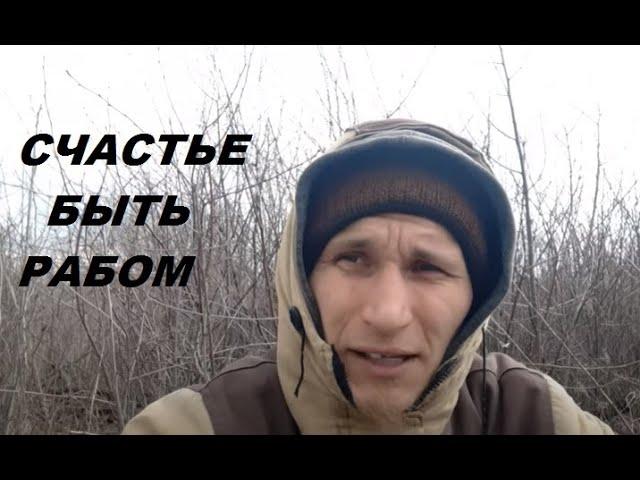 Поселился в клетке и стал счастливым.