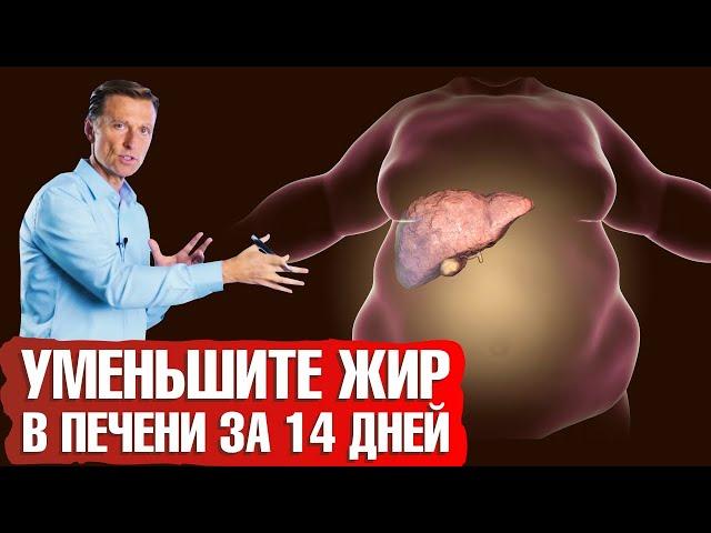 Как уменьшить жир в печени за 2 недели на 50%