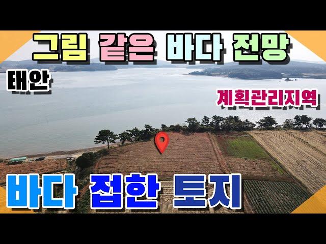 [꽃지 5086] 태안 엎어지면 바다에 빠져요 바다 접한 토지매매 계획관리지역 그림 같은 바다 전망 풀빌라 캠핑장 카페 별장 전원주택 바닷가토지 태안토지 태안부동산 바다접토지 급매