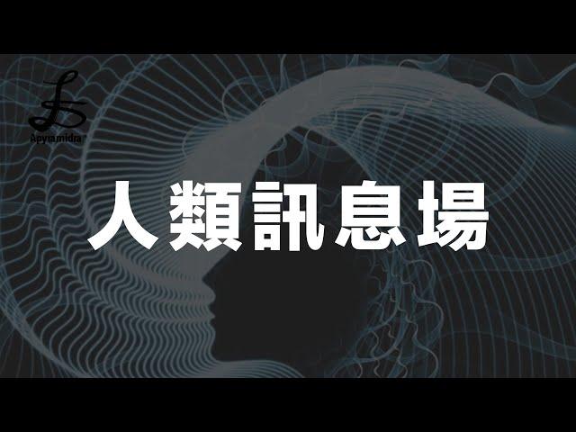 從工程角度理解人體｜訊息場的運用｜Apyramidra