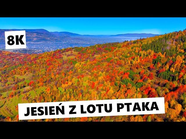 Jesień w polskich górach z lotu ptaka [8K]