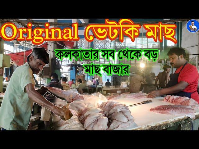 Kolkata New market famous fish market | S.S. Hog Market | Vetki fish cutting | Kolkata fish market