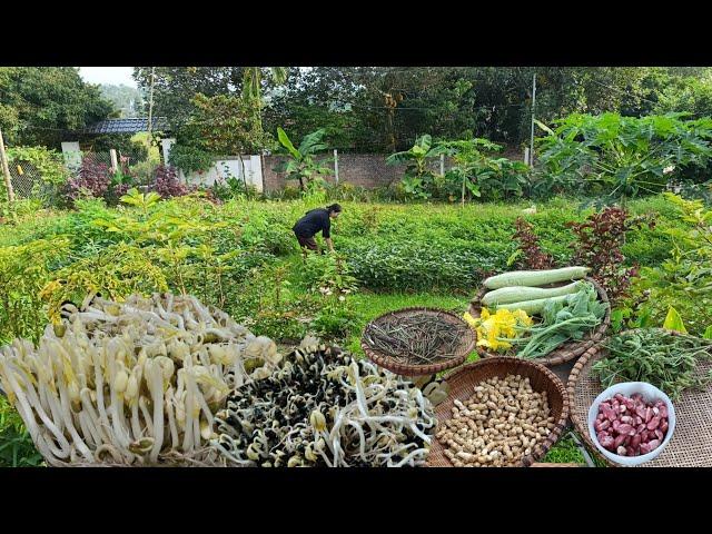 Summer life, lots of fresh food from the garden, sprouting beans and healthy cooking