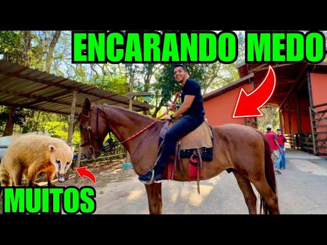 Andando de CAVALO e procurando QUATI em Águas de São Pedro | Aves Experience | BN vlogs