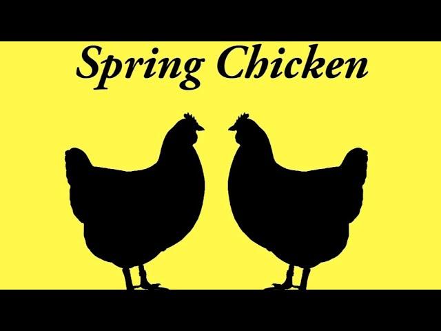 'Spring Chicken' - by Chloe Huntington / Official Audiobook