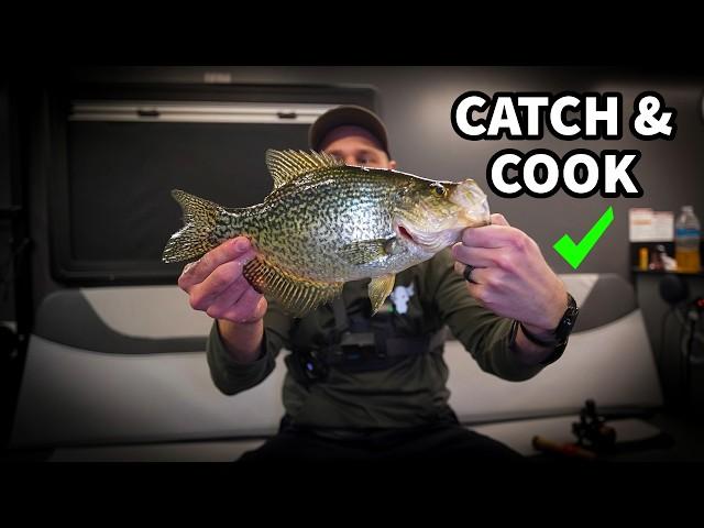 Hunting Crappie on the Ice! Catch and Cook while Ice Fishing