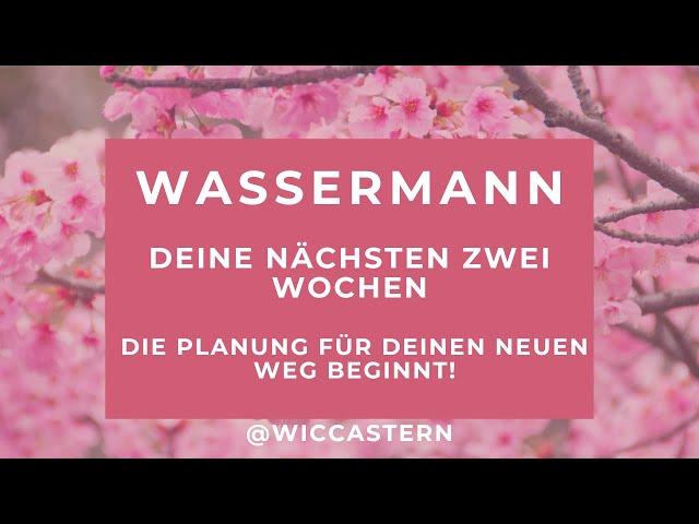 WASSERMANN Tarot | DEINE NÄCHSTEN ZWEI WOCHEN | DIE PLANUNG BEGINNT FÜR DEN NEUEN WEG BEGINNT!