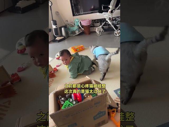 之前都是心疼猫被娃整 这次真的是猫太过分了 #小铁环游记