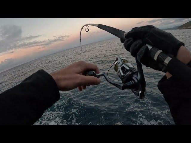 Shore Jigging - Rainy day Albacores