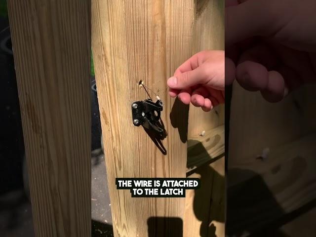 How to Secure your Backyard