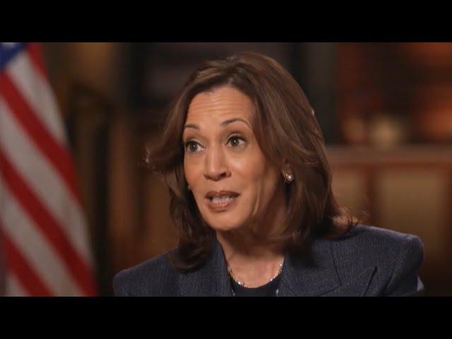 Kamala Harris Gets Mixed Reactions Over Fox Interview