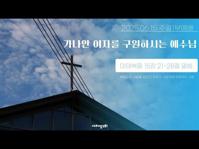 가나안 여자를 구원하시는 예수님 [새하양교회 남주현 목사 주일설교] 2025-06-15