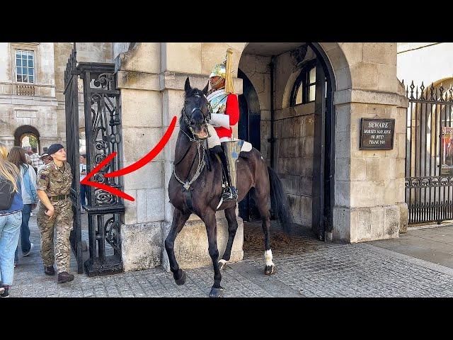 King's Horse has had Enough of IDIOTS and Quits