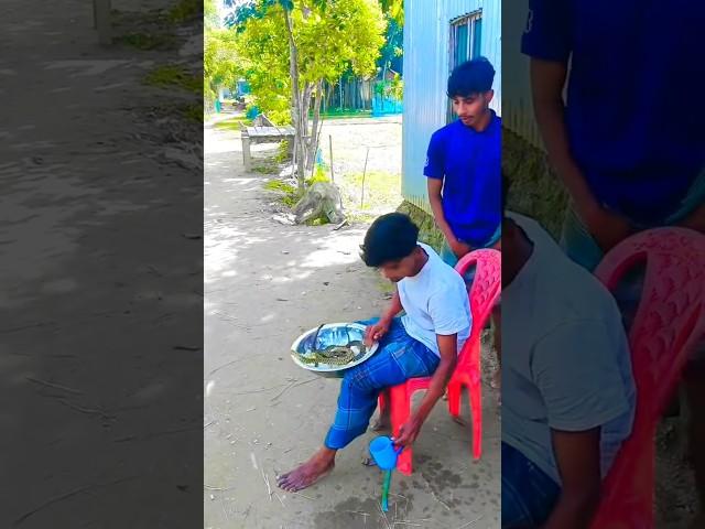 Epic Funny Video  #shorts #viralshorts #comedy #funnymoments #fails #humor