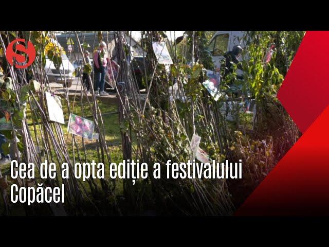 Festivalul Copăcel de la Zaim a ajuns la cea de a opta ediție