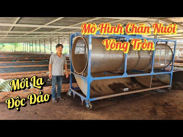 Mô hình chăn nuôi khép kín mới lạ độc đáo | Khởi Nghiệp TV