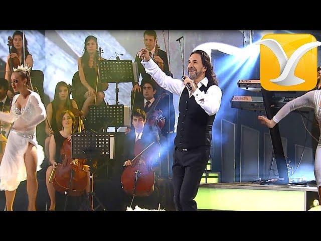 Marco Antonio Solis - Más Que Tu Amigo - Festival de Viña del Mar 2016 HD