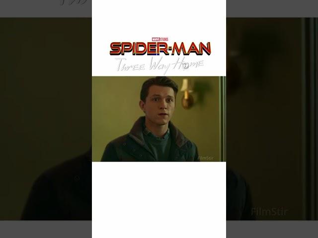 Spider-Man Three Way Home #spiderman #zendaya #tomholland #tobeymaguire #andrewgarfield #marvel