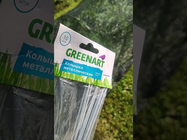 Спрятала землянику от дроздов #земляника #дача #огород
