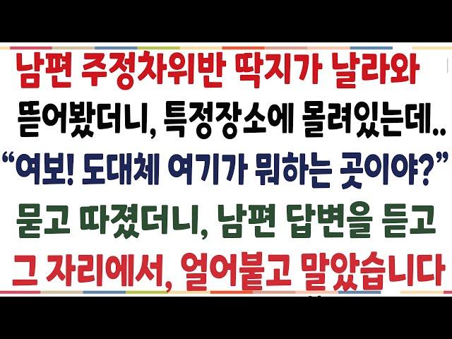 (반전신청사연)남편 주정차 위반 딱지가 날라와 뜯었더니 특정장소에 집중돼 있는데 "여보! 여기가 뭐하는 곳이야?' 물었더니, 상상못할 반전이[신청사연][사이다썰][사연라디오]