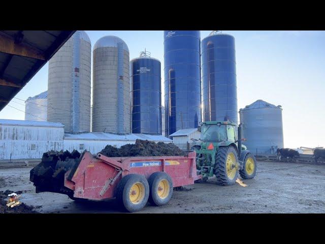 A Winters Day work on a Beef Cattle Farm