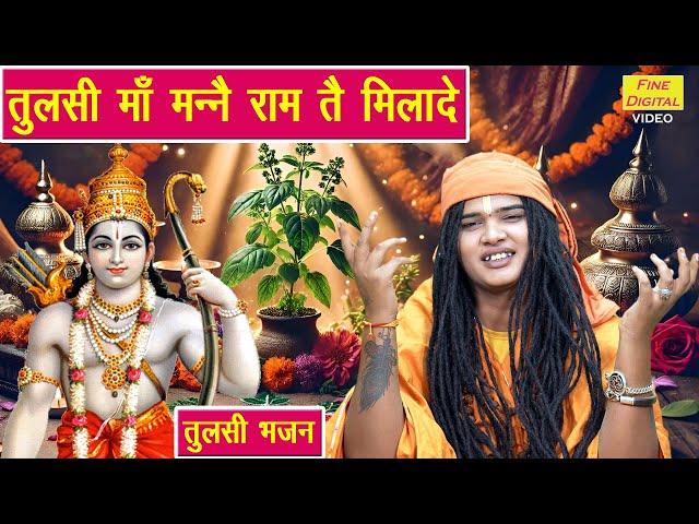 कार्तिक मॉस भजन | तुलसी माँ मन्नै राम तै मिलादे | Tulsi Maa Manne Ram Te Milade | Tulsi Mata Bhajan