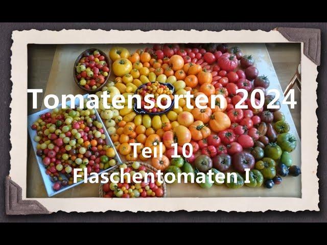 Tomatensorten 2024 Teil 10 - Flaschentomaten I