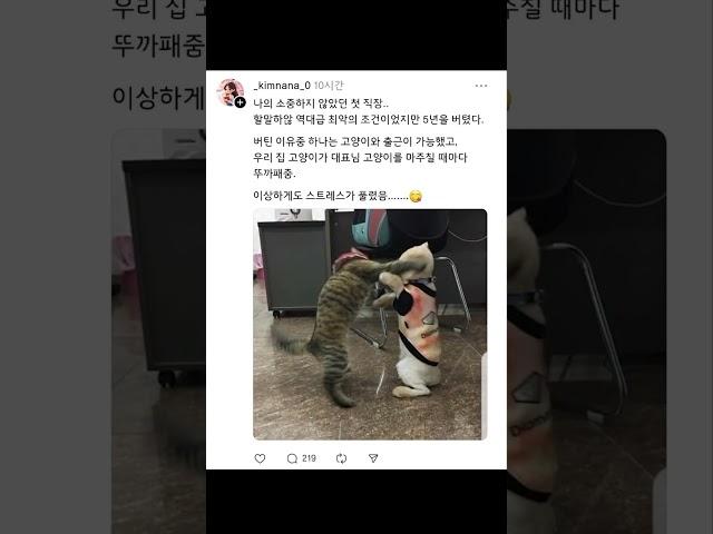 내가 ㅈ소에서 5년을 버틸 수 있었던 이유