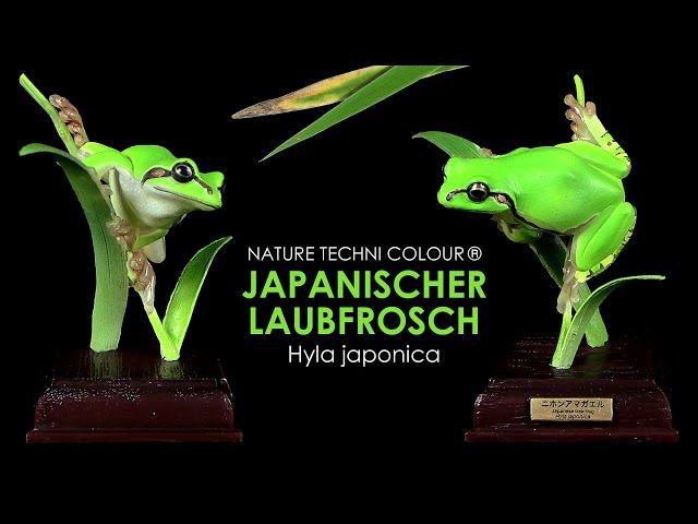 Nature Techni Colour ® Japanischer Laubfrosch / Japanese tree frog - Hyla japonica - Gashapon