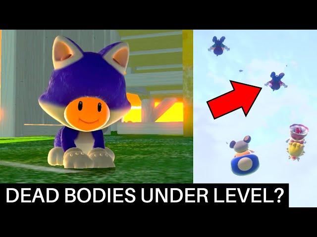 The Weird Title Screen Levels of Super Mario 3D World