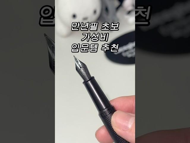 만년필 초보 가성비 입문템 추천!