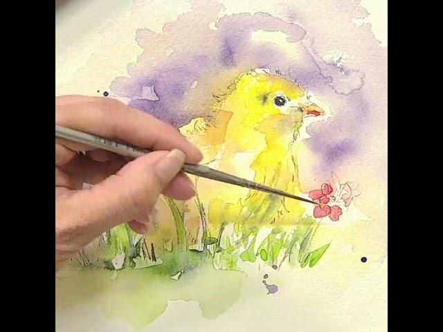 Happy #WatercolourWednesday! Feel inspired to paint and create with this NEW set from Jo Allsopp!️