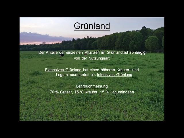 Grünland Teil 1