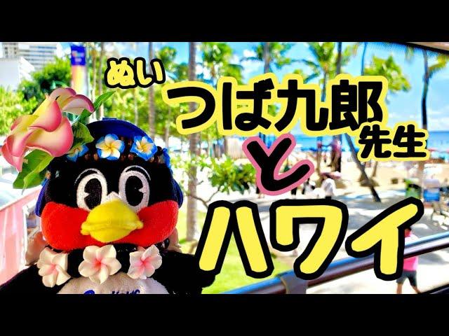 【アロハ】つば九郎ぬいとハワイ旅行満喫したよ